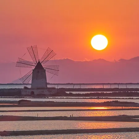 Eimile Trapani